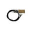 Термистор AW100073 для Ricoh Aficio MP-2000, 2016, 2015, 1015, MP-1900, 2020, 1018, MP-1600 Термистор AW100073 для Ricoh Aficio MP-2000, 2016, 2015, 1015, MP-1900, 2020, 1018, MP-1600
